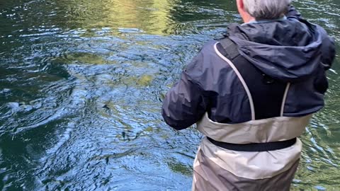 DFERGUS TESTING MORE STEELHEAD PEYOTE