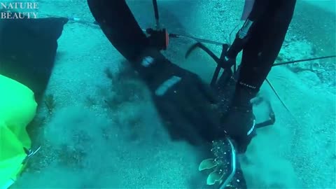 ×Amazing Catch Giant Lobsters Underwater - Big Octopus Hunting Skills in the sea 2021