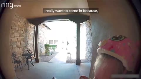 Taylor Talks to Her Neighbor On Ring Video Doorbell After Running Away From a Bobcat
