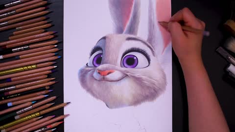 Color The Rabbit's Ears
