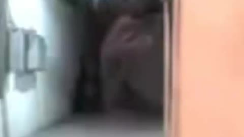 Fantasma Grabado En Un Viejo Edificio Colombia