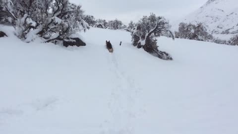 Doug’s Snow Adventure