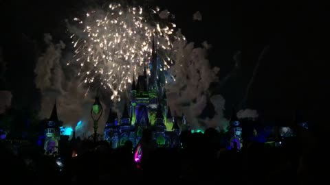 Happily Ever After - Magic Kingdom Fireworks Show at Night