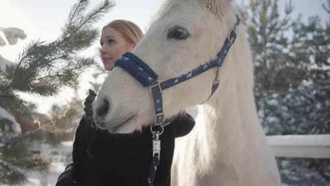 Portrait of pretty blond girl with thoroughbred white horse near the fence close up