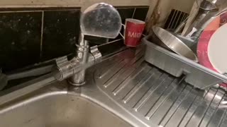 Tap Leakage