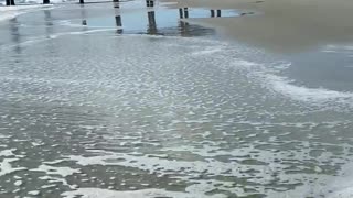 Tybee island beach in Georgia