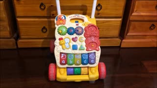 Vtech First Steps Baby Walker