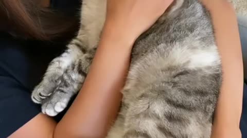 Does your Kitty like to be held like this? 💕 #love #cat #meow #cats_of_instagram