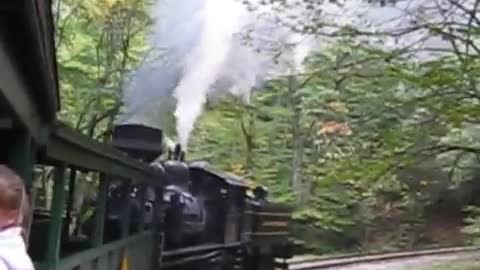 Shay Steam Locomotive