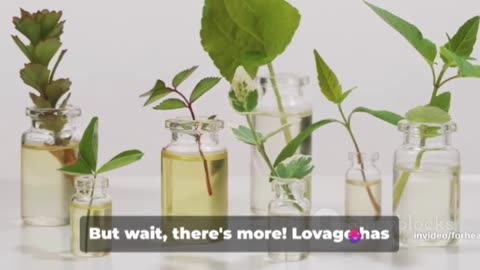 Lovage: The Herbaceous Wonder with Health Benefits