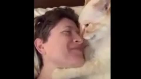 Cat & Dog Funny Video #cat #dog #funnyvideo