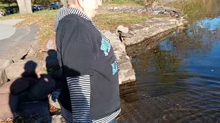 Schuylkill River channel catfish in November