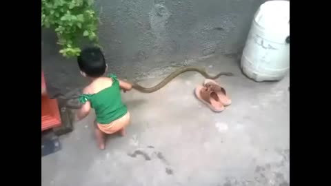 Kids Funny Video ★ Funny Videos For Kids ★ Funny Baby Fails ★ Kid Playing With Snake