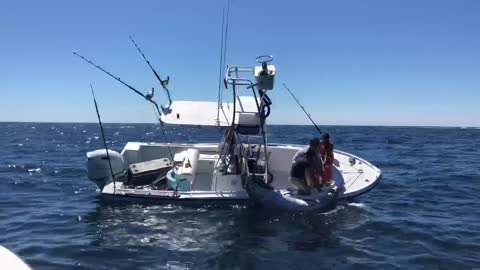 Huge Tuna Nearly Capsizes Boat