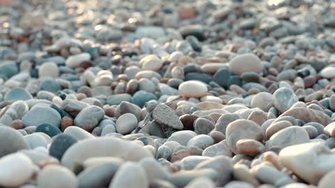 baby turtle climbing over stones on sea beach small