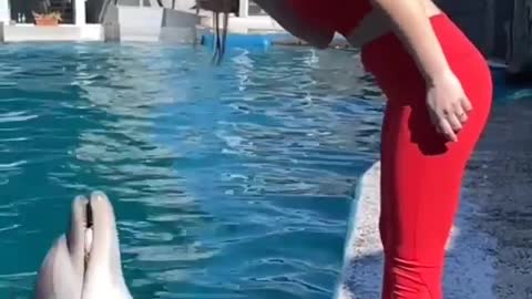 Cute trainee Dolphin with lover
