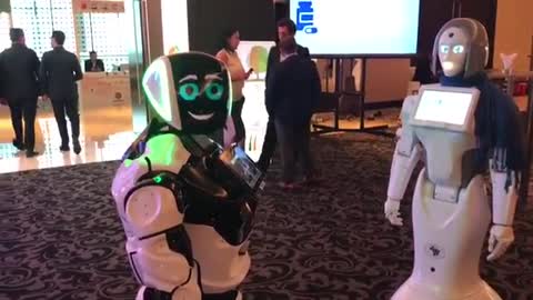 Two Humanoid Robots meet and Flirting with Each other