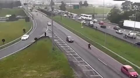 Playful parrot checks his reflection in traffic camera in Brazil