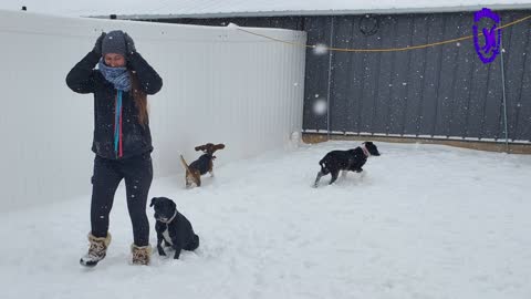 Snow day for the Littles & Pups at Coolwag.