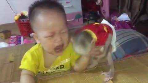 Monkey Baby Tom | monkey Tom teasing makes the baby cry, monkey kisses the baby