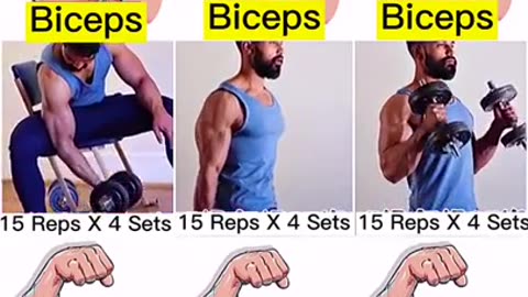 Triceps ,Biceps