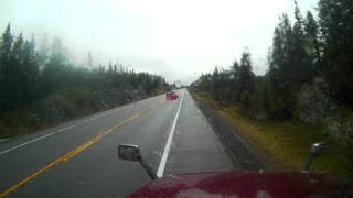 Moose Walks Away After Being Hit by Truck