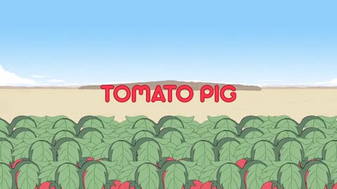Tomato pig - Funny Animated Movie