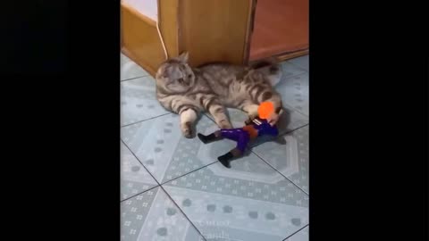 Cute and Funny Pets_Try Not To Laugh To These Pets Compilation