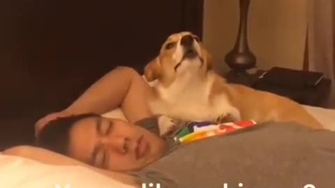 doesn't like dog kisses? let him sleep.