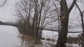 Bird Feeder Camera