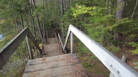 Beaver Pond Trail Algonquin Park Ontario Canada 09 26 2021