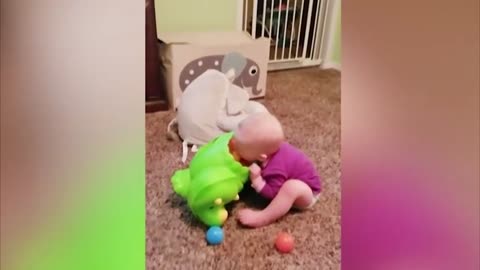Laughing With These Funny Babies and Toddlers, Toddler Videos Toddlers