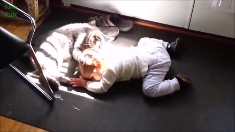 😍Funny Cats Playing With Baby🤣
