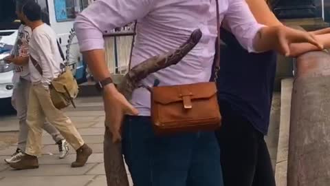 Prank people with a fake snake