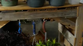 Homemade Plant Stand