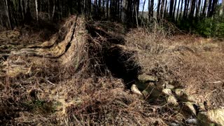 A QUIET WALK ALONG THE CATSKILL MOUNTAIN BACKROADS AND FARMS