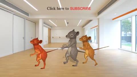 Funny Rat dance 2020..