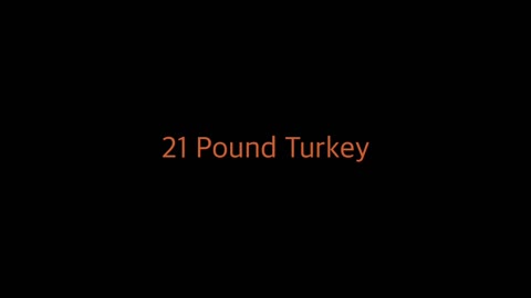 21Pound Turkey