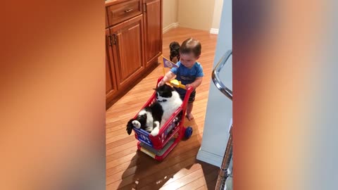 Baby and cat 😸🐈.fun and cute ,funny baby video