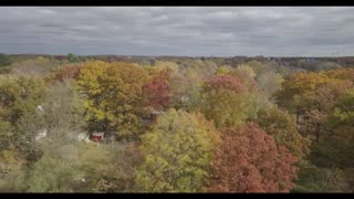 Auburn Hills Fall Colors Mavic Pro