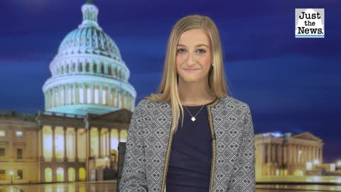NBC political reporter found plagiarizing articles - Just the News Now with Madison Foglio