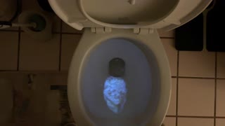 IS JOE BIDEN IN THE TOILET?