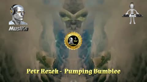 14) PetRezek - Pumping Bumblee
