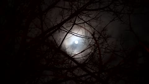 FULL MOON VIDEO HD |