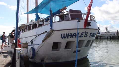 The Whales Tale day Cruise from Nadi, Fiji to the Mamanuca Islands