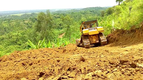 AT D6R XL Bulldozer Cuts Steep Hill for Plantation Road Construction
