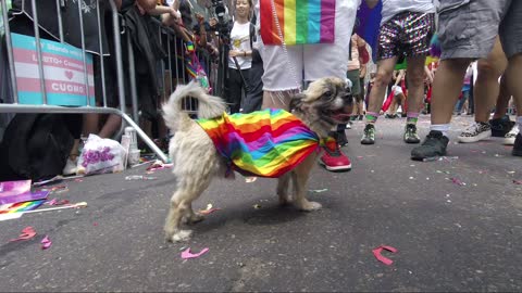 2018 New York City Pride March II