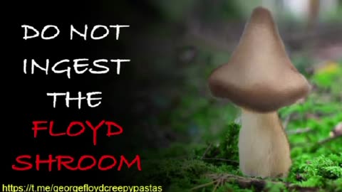 George Floyd Creepypastas: DO NOT INGEST THE FLOYD SHROOM