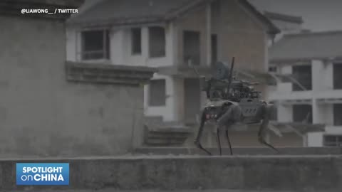 CHY-NA autonomous robot murder dogs.
