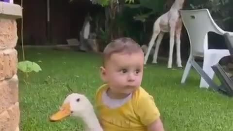 Child rides goose